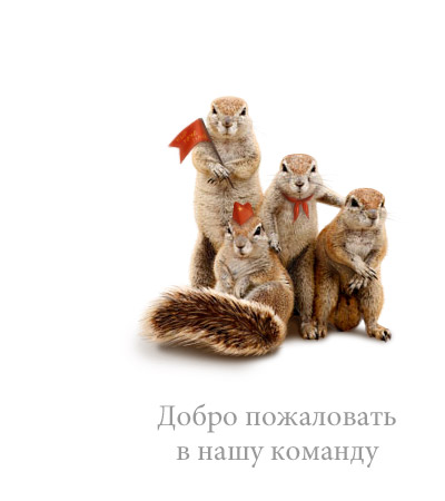 Вакансии работа упаковщица в москве, вакансии продавца консультанта в зеленограде, дорожное строительство вакансии санкт петербург