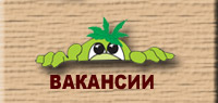 Вакансия переводчик уфа, вакансия помощник бухгалтера волгоград